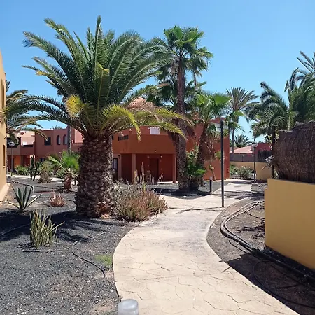 Hakuna Matata * كوراليهو