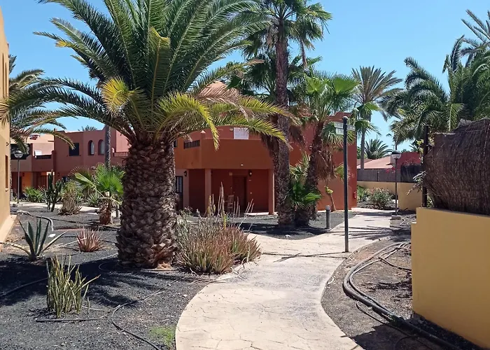 Hakuna Matata * Corralejo